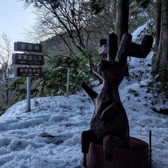 御坂峠
チェンソーアート🫎のお出迎え😊