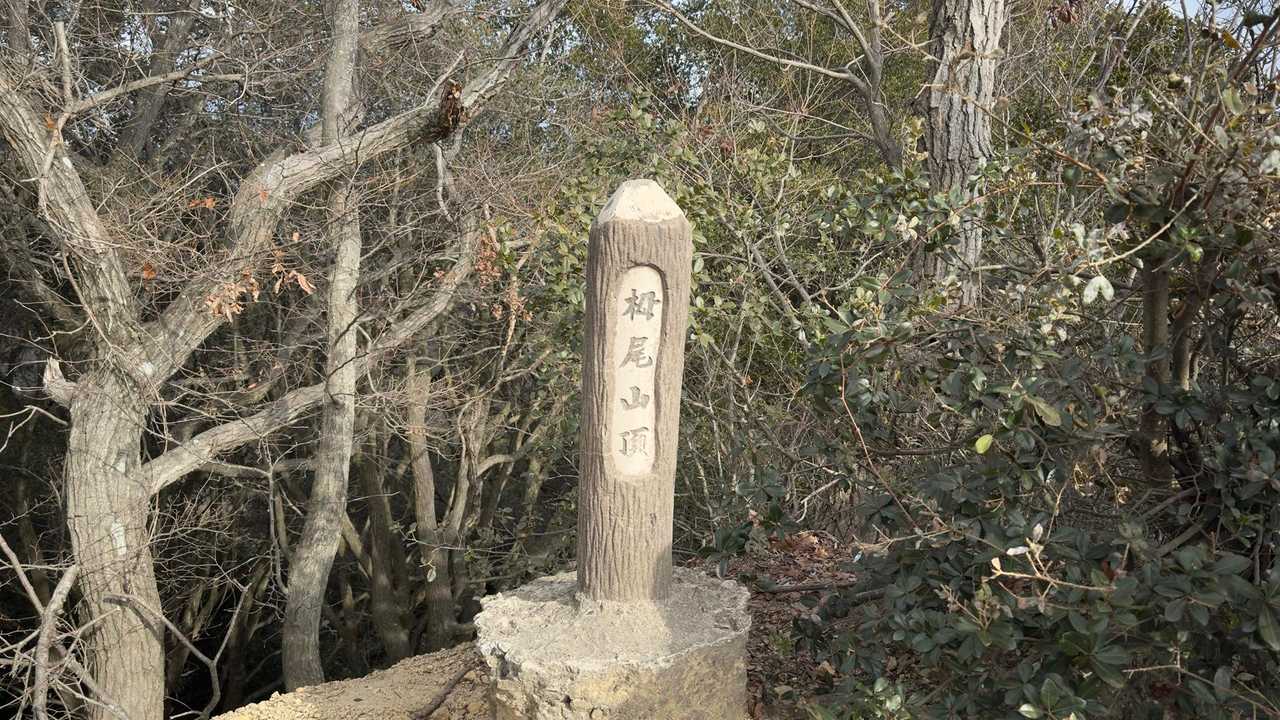 六甲ハイカー（六甲全山縦走路） の写真 91