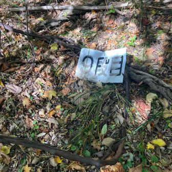 ここは、合目じゃなくて段目表記なのね
あ、もしかして採石跡の段なのかな💡
このあと、12段目も出てきたし
