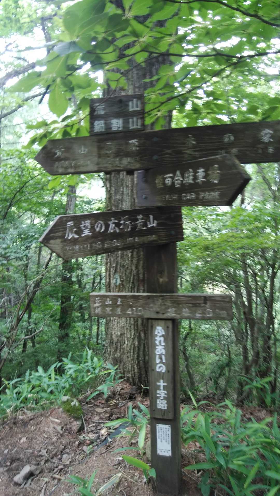 分岐