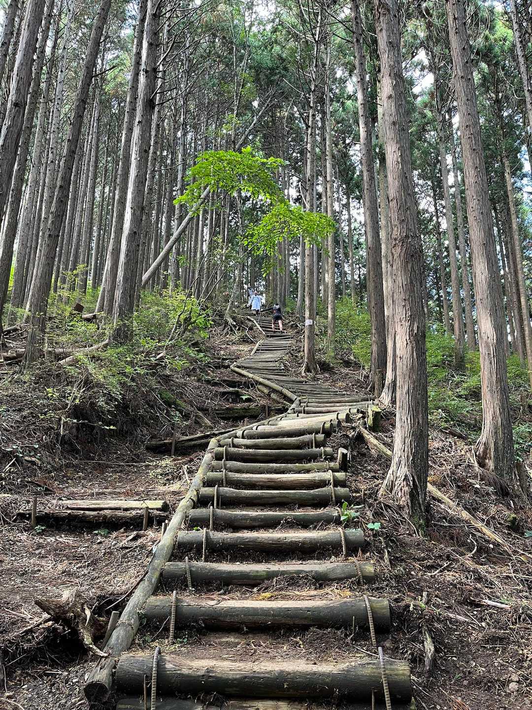 嫌になるほど長い階段