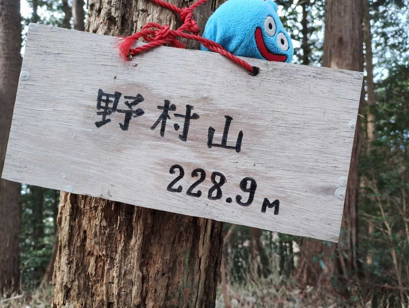 野村山獲ったどー＼(^o^)／