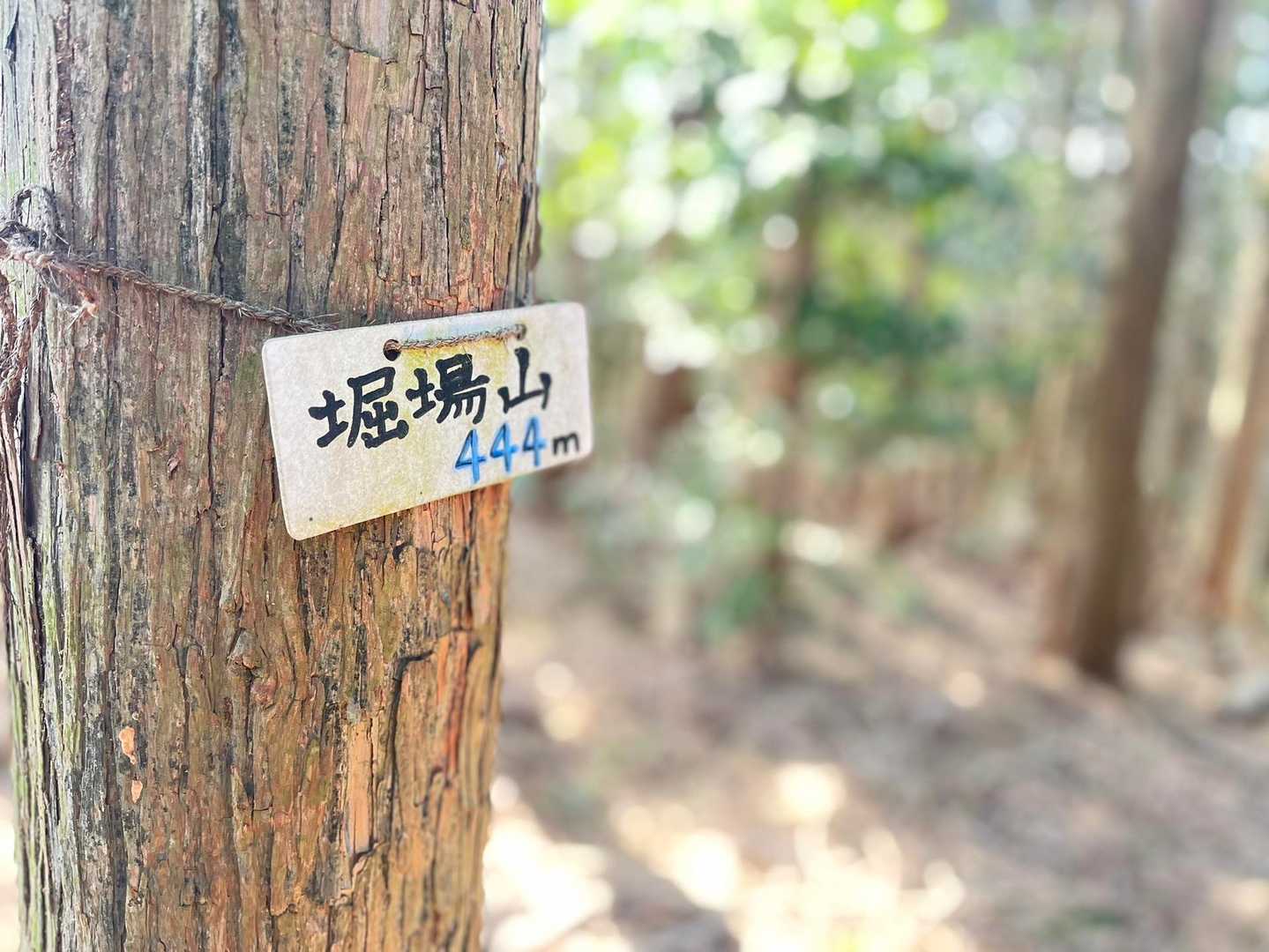 堀場山