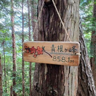 青根ヶ峰山頂、広くない何も無いピーク…お揃の柿Tシャツ団体の皆さんと写真撮り合いっこ。ありがとうございました。