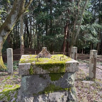 こちらが山頂。
もともとは何があったのかな？
こっちの奥の方に鹿が2頭走って降りて行った。
こりゃ熊も出るかな？