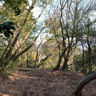 山頂から嵐山は見えません