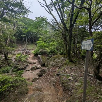 御在所・国見岳に向けての登り。ここから自称ゆるパワーハイカーの本領発揮🤣🤣🤣