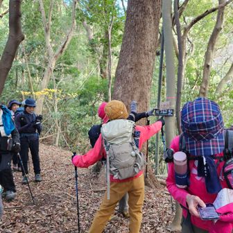 上畑山へ寄り道
