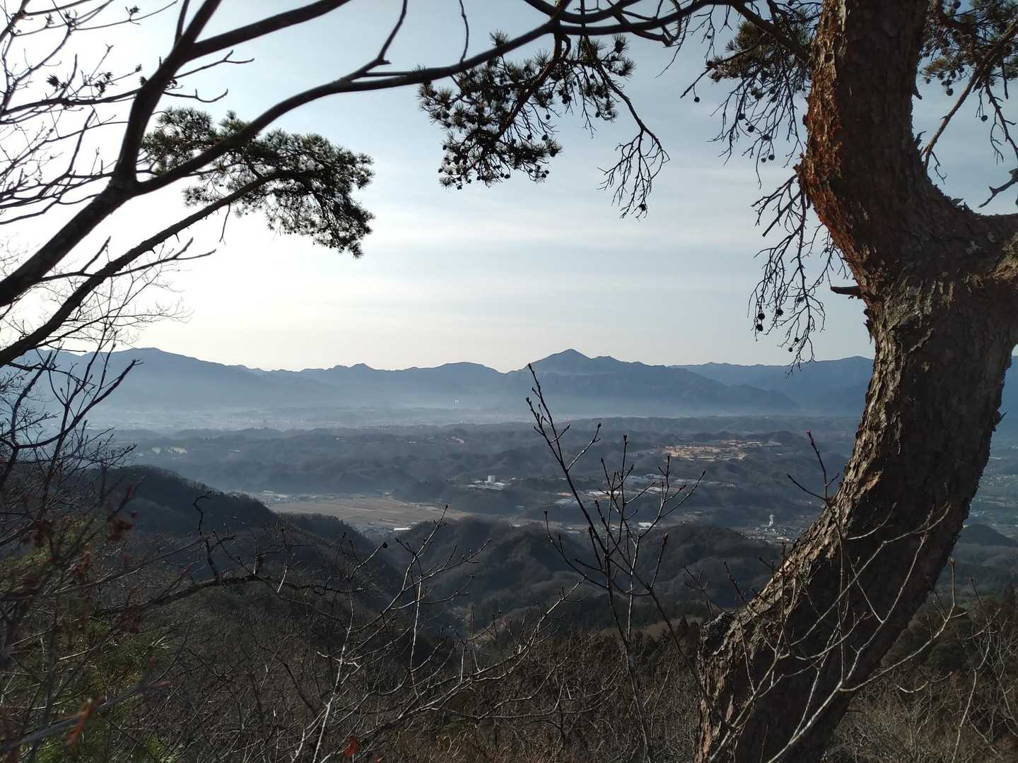 秩父華巌前バス停-大前山-札立峠-破風山-礼所前バス停 周回コースの写真