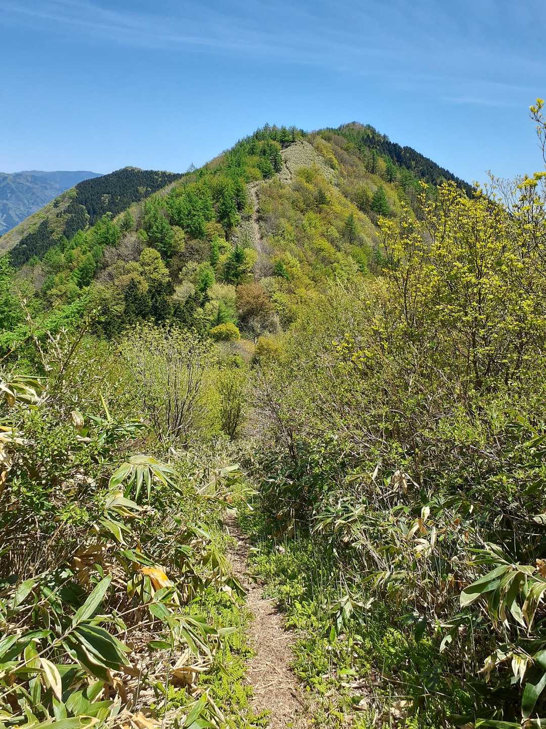 五輪山へと続く稜線ー😃