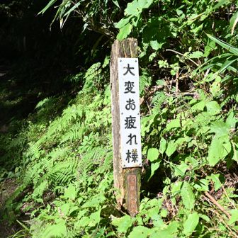 下山します、文殊尾根コース
