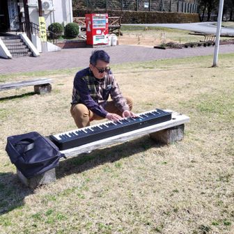 観光館前の芝生広場でキーボード弾いてる方がいらっしゃったのでパシャリ
優雅でまるでいっぱしリゾート地みたい
そういえば今日は外国人観光客の方とも何人かすれ違った