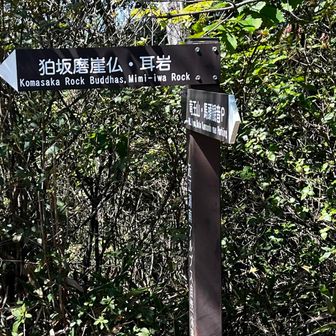 まずは後天狗岩に行ってみます🪨