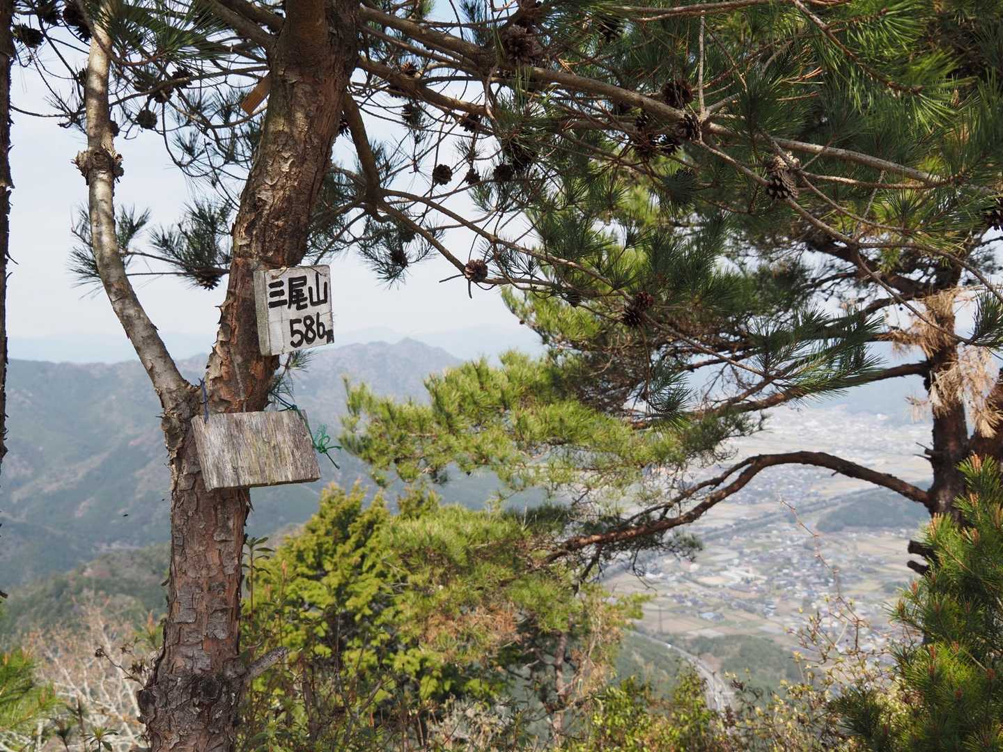 山頂はそんなに広くはないけど、ベンチもあって景色が良かったです。
