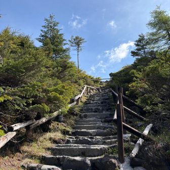 坪庭の散策から
