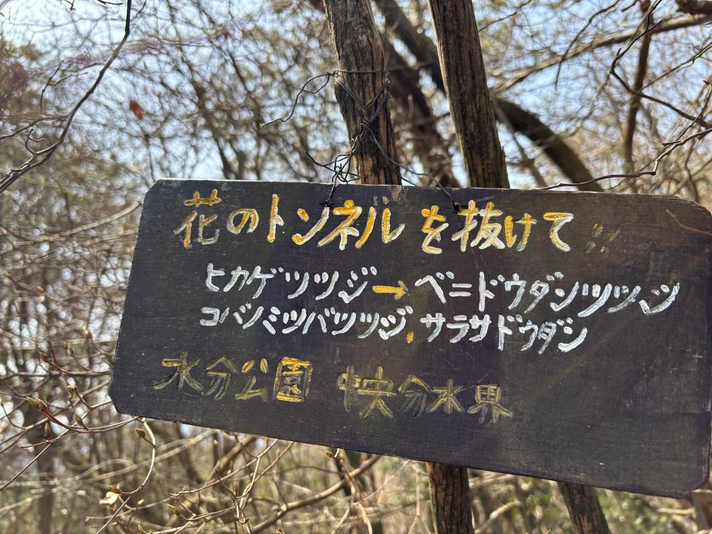 トンネル
次こそ歩いてみたい‼︎