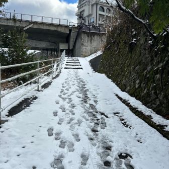ロープウェイ乗り場の方へ