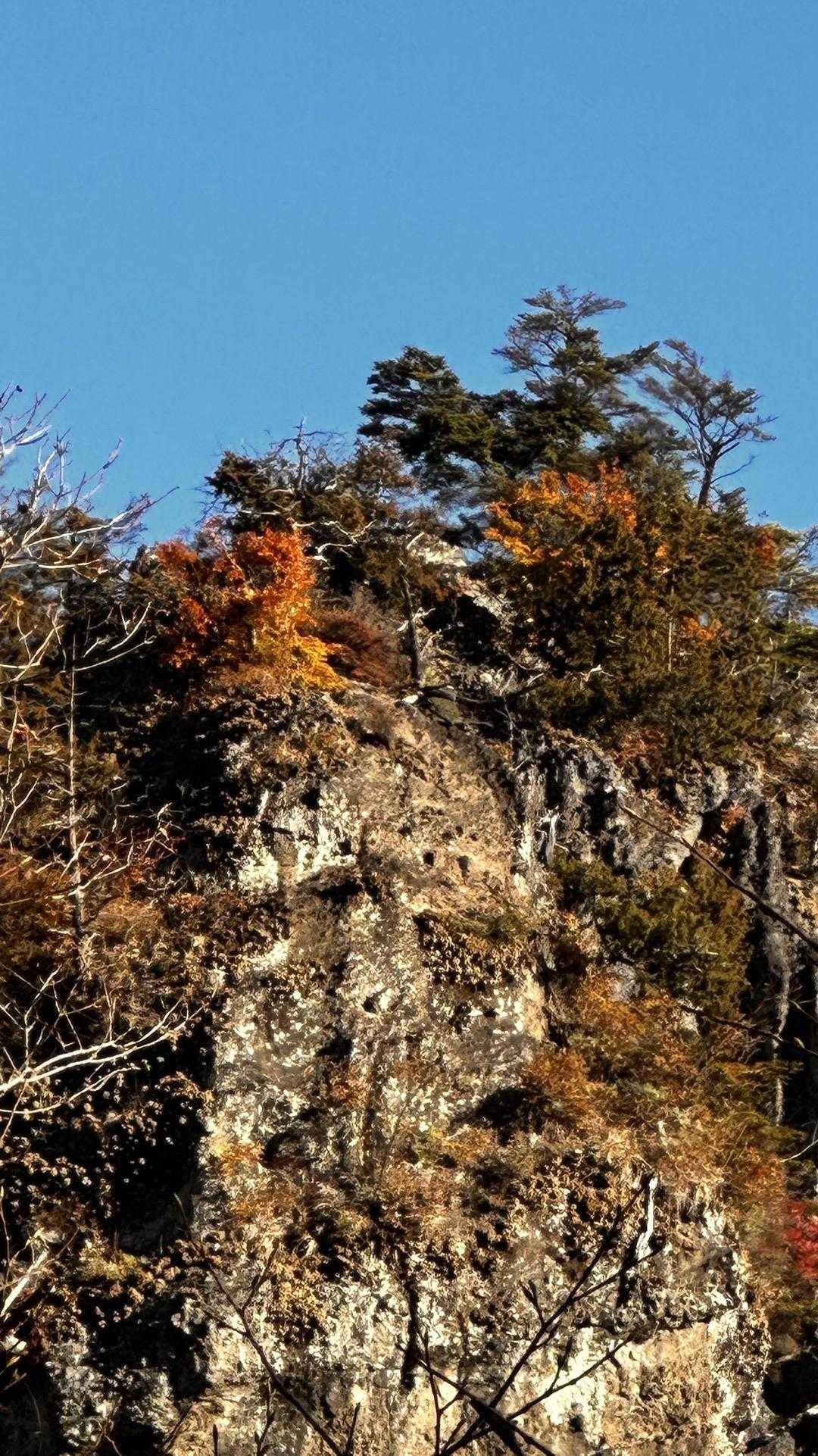 あれが目指すやつか？