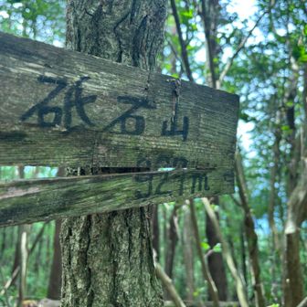 道が整備されて走りやすくなってる
危険な劇下りもない