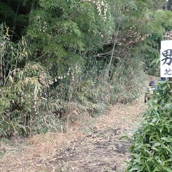 男抱山登山口
地主様に感謝！ですね。
