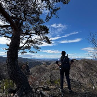 デイジーさんも
かっこいい😎
ここでのんびり遅めの
お昼ご飯🍙