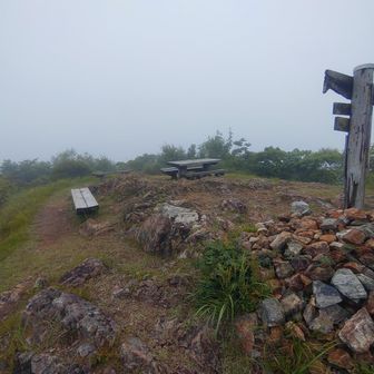 東鳳翩山。
霧雨の雲の中。