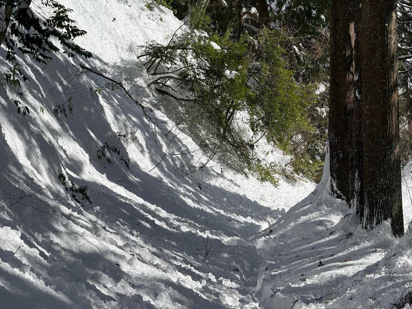 くだり中（行きも）、左の斜面から、ユルユル雪ボールいっぱい転がってきてました
なので、積雪量と斜度と雪の緩みから雪崩れが発生するかも？
つうことで、機動力のない相棒はだっこしてツボで通過して帰ります^_^