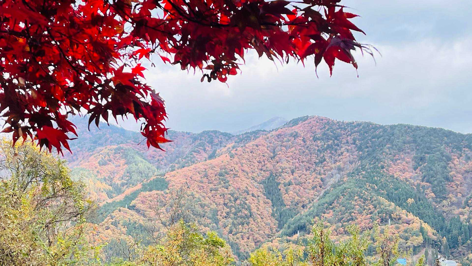 日に照らされた山が美しい