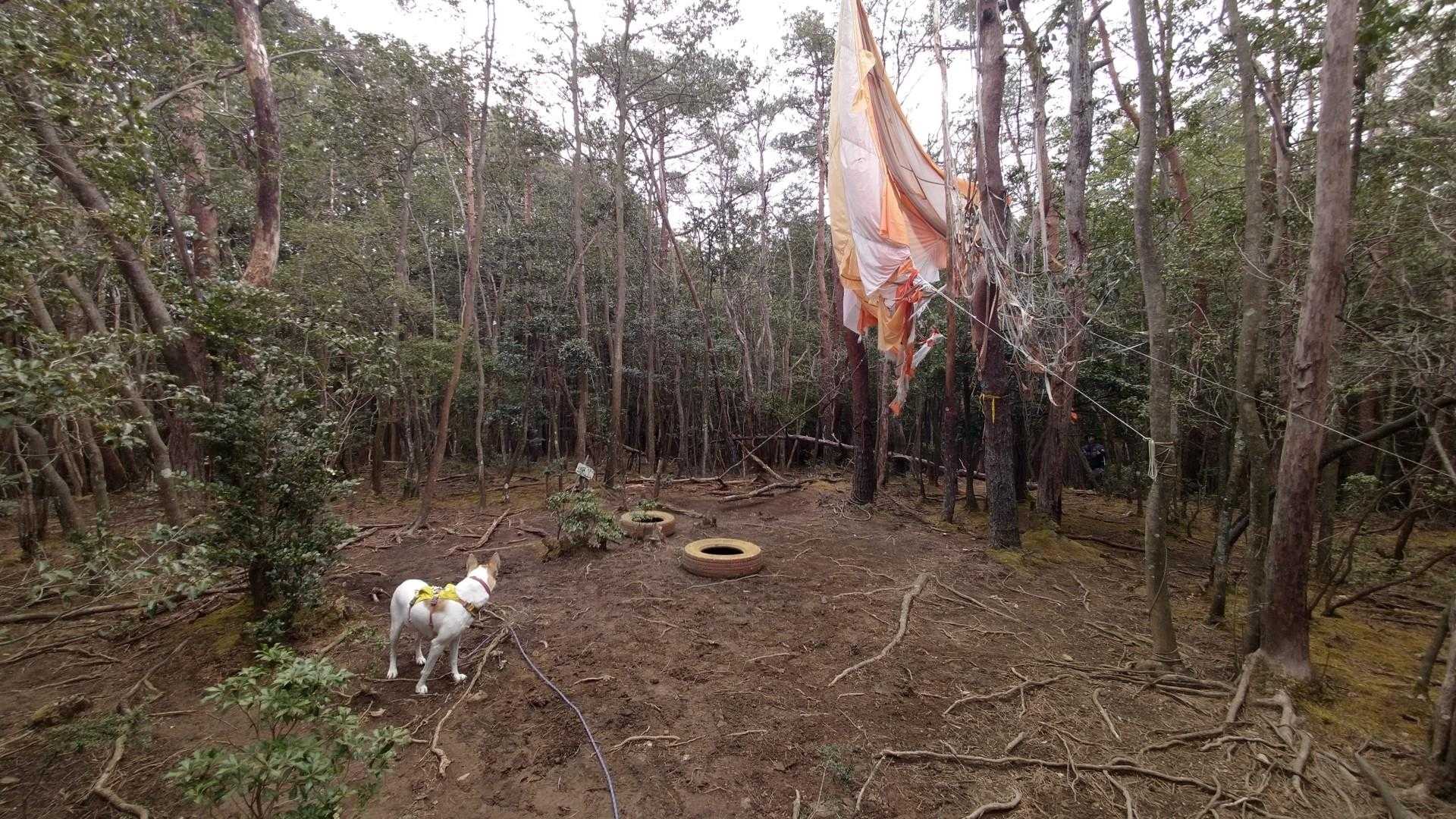 深山ピークに到着！