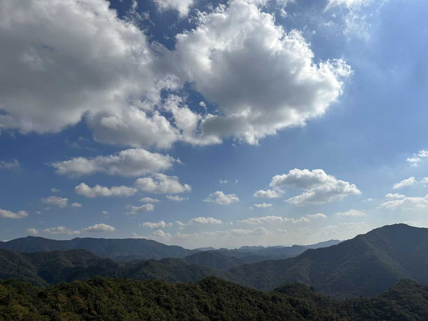 白山 往復コースの写真