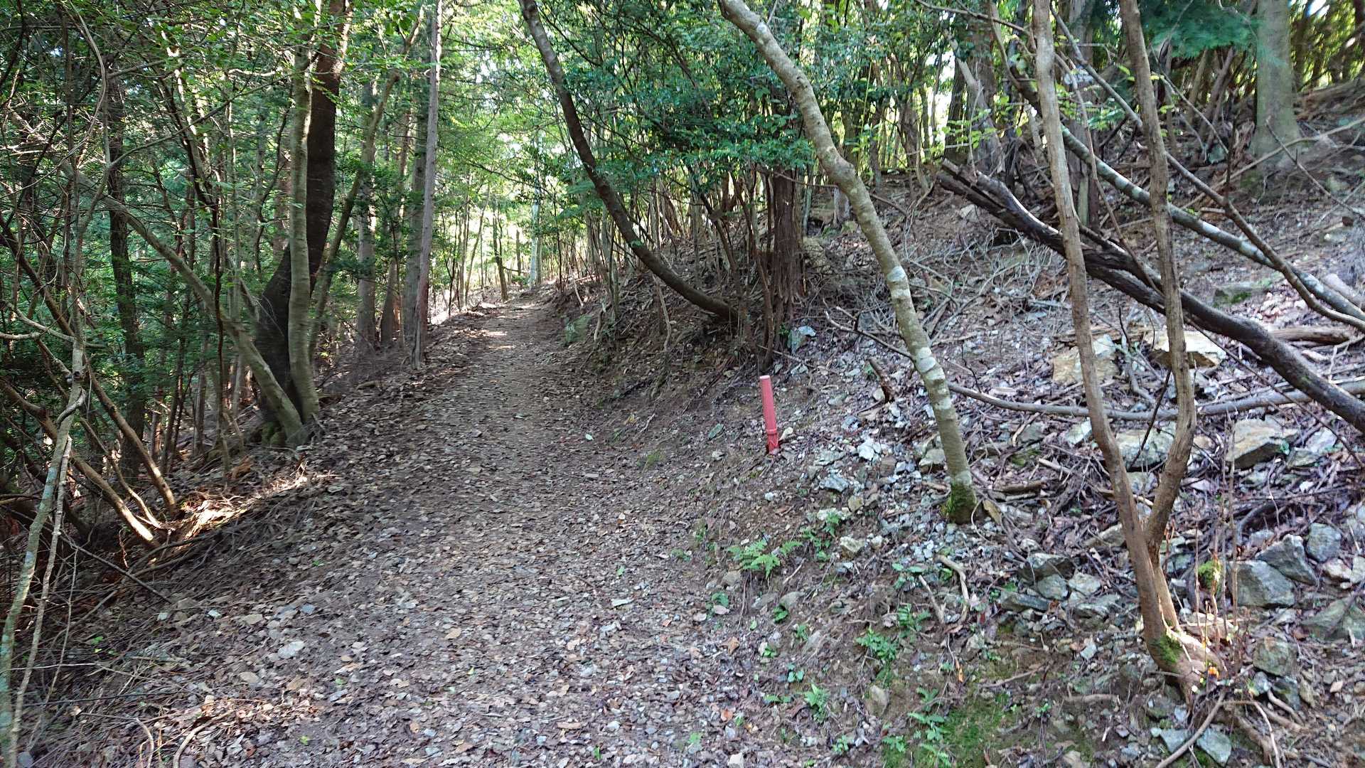 牛松山 往復コースの写真