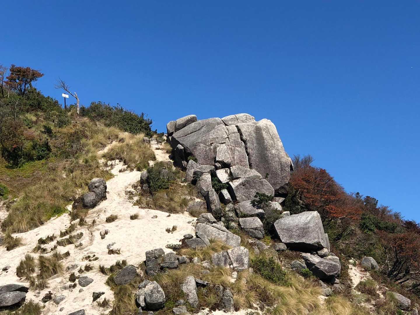 白いザレ砂の道は鈴鹿独特です