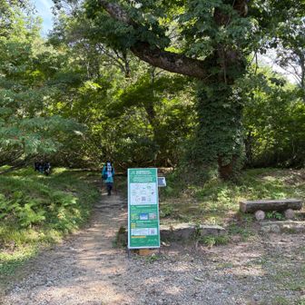 登山口