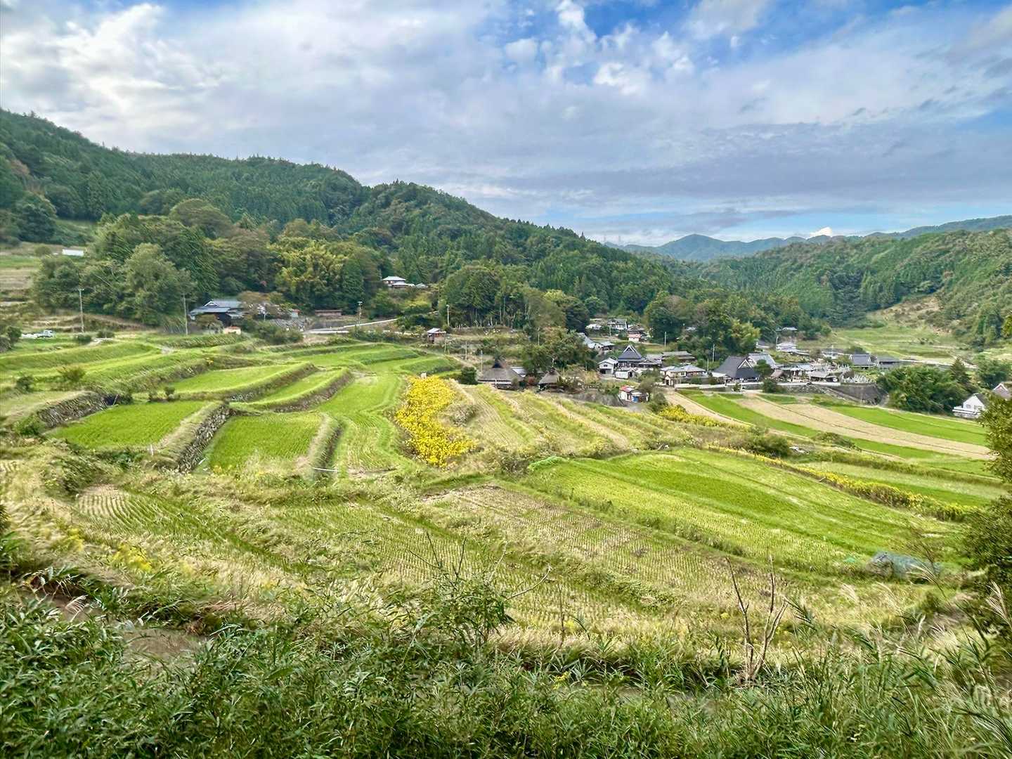 日本棚田百選
長谷の棚田

金木犀の香り効果なのか
癒されまくりです
