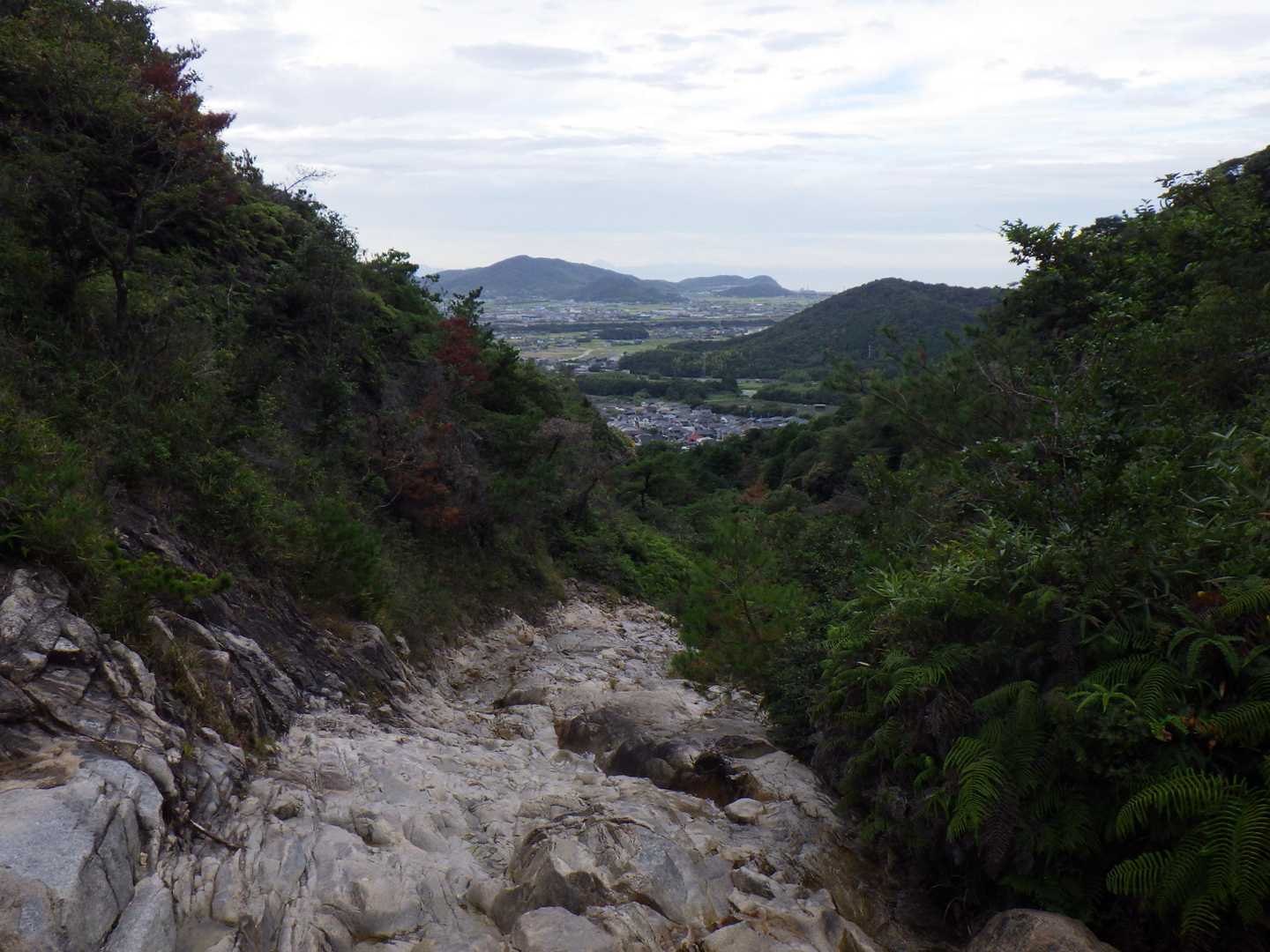 西目山 周回コースの写真