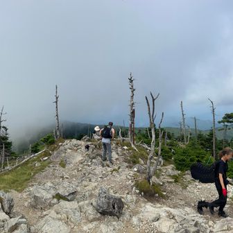 八経ヶ岳山頂