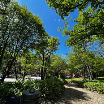 お昼は光徳牧場の
ベンチで
お天気最高だよ