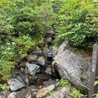 大凹の水場