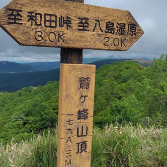 鷲ヶ峰山頂。国土地理院の三等三角点を見つけられず。