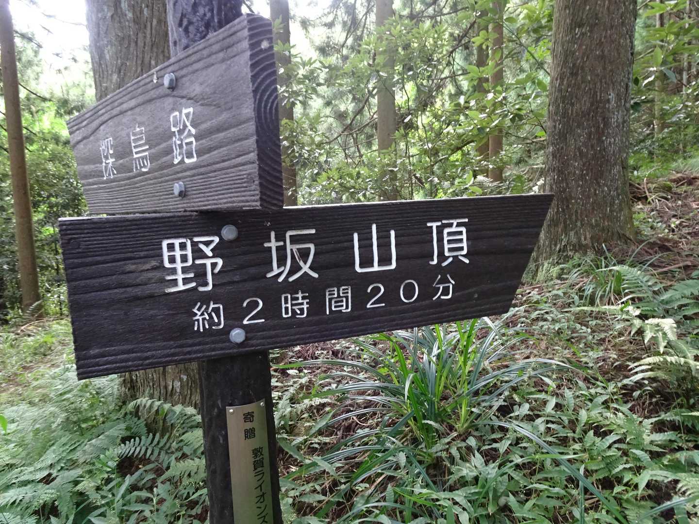 すでに滝汗。
この蒸し暑さの中を2時間20分も…🥵
