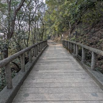 駐車場から数分で福山の街並みが見下ろせます