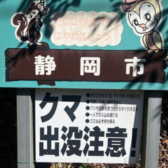 ここにもクマ出るんですね。