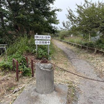 小沼駐車場に到着