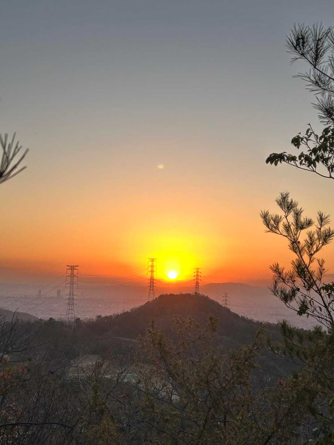 お日様今年も1年よろしくお願いします🙇