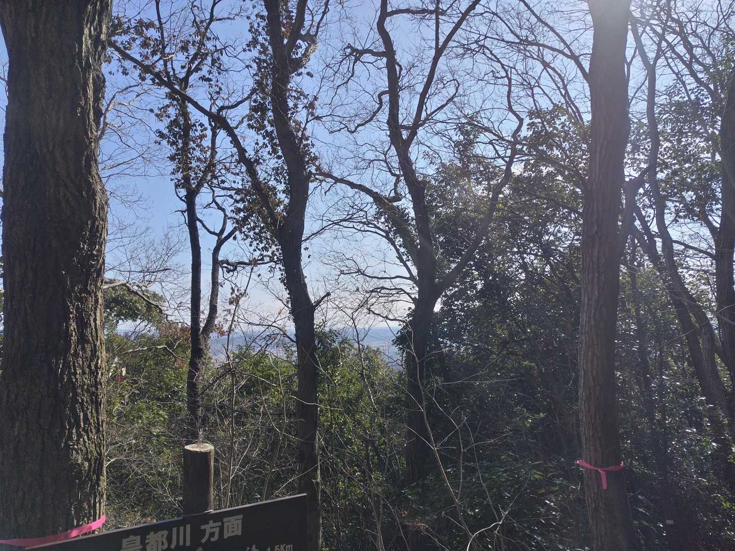 赤沢富士山頂からの眺め