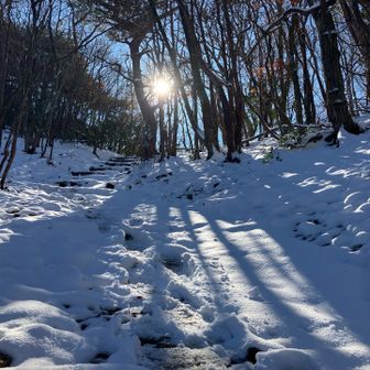 しっかり残ってます⛄️