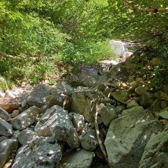 いきなり岩だらけの急登です