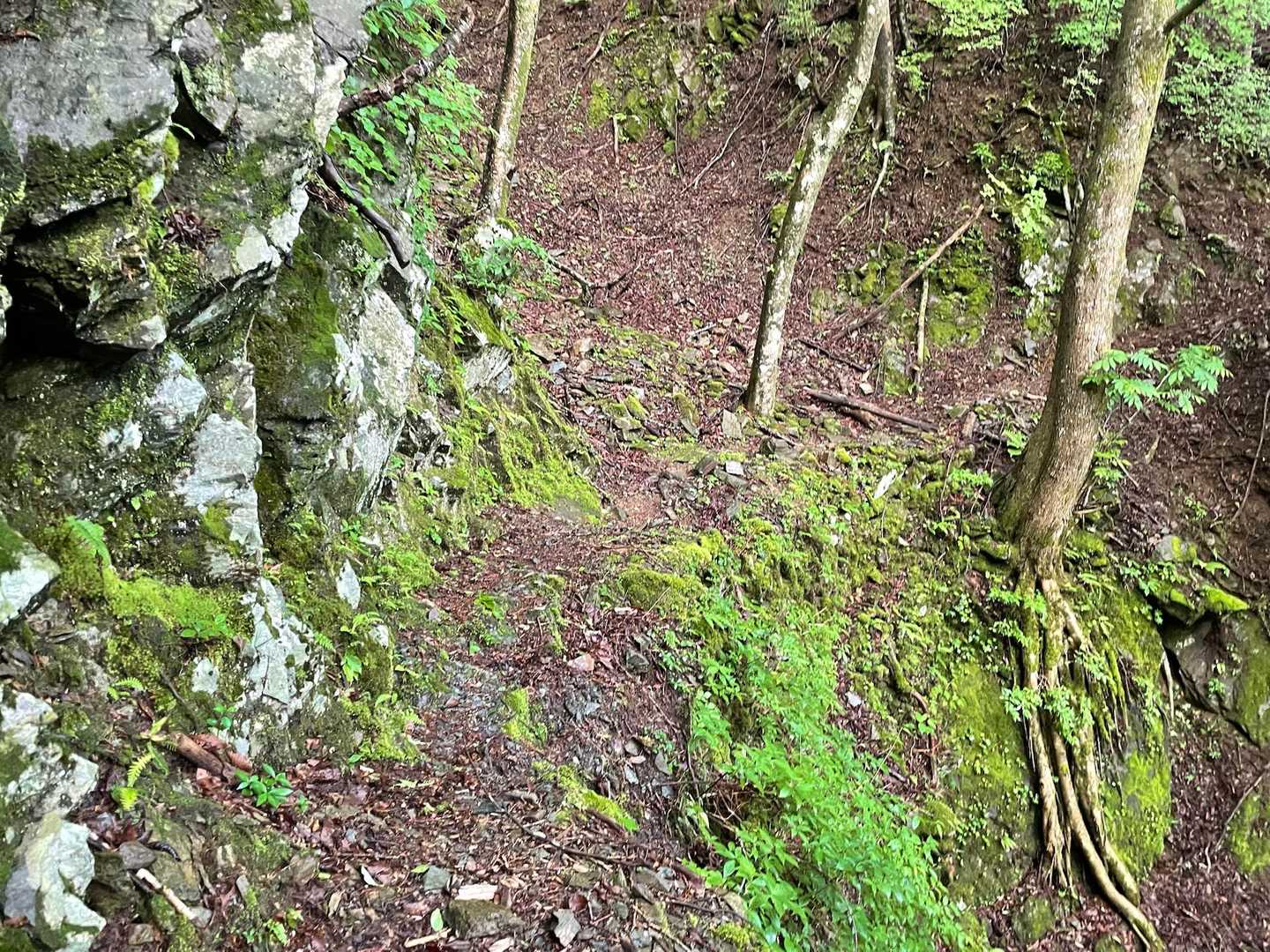 雨上がりなので滑らないように進んで行きます