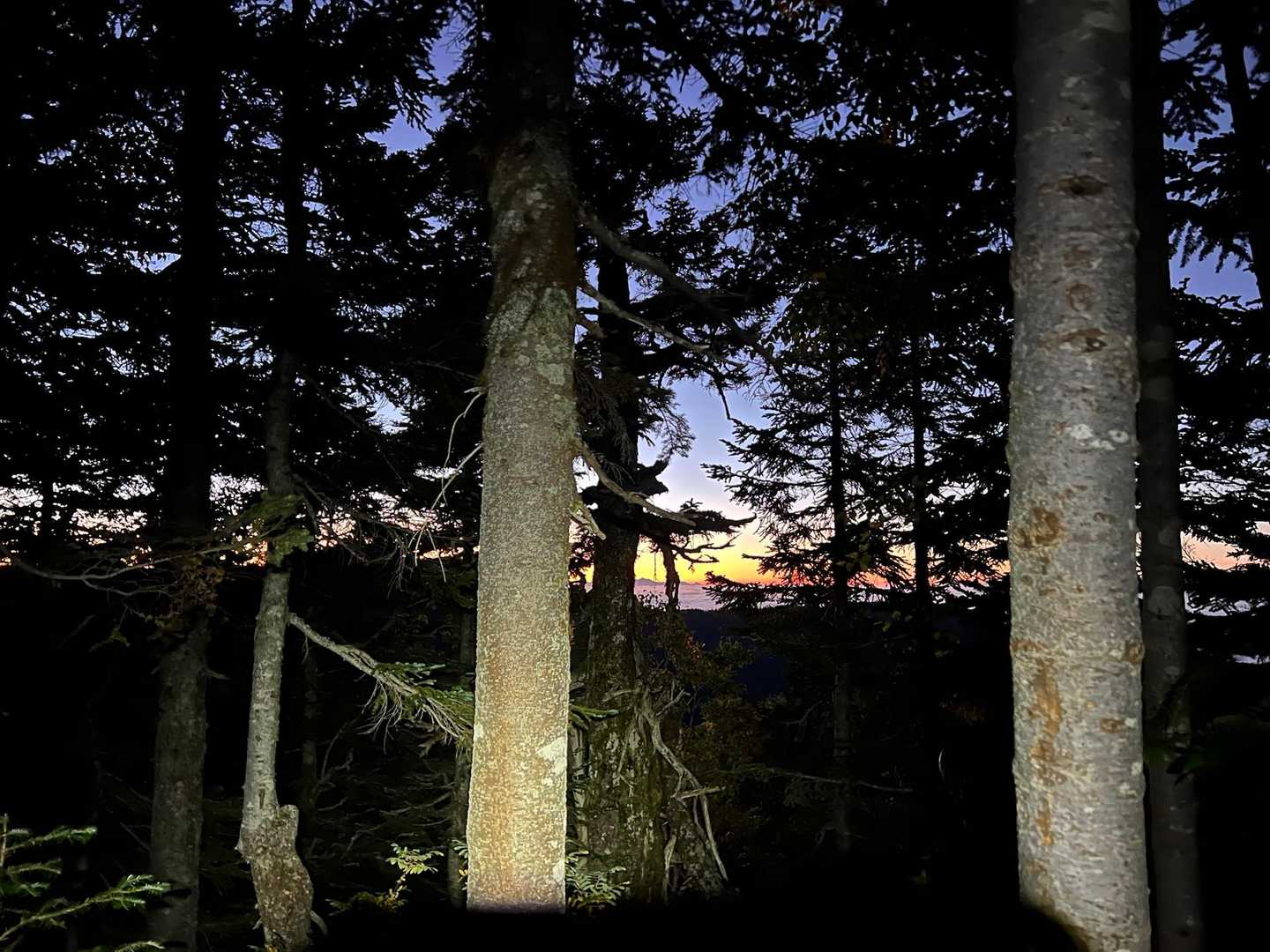 おっ　明るくなってきた
