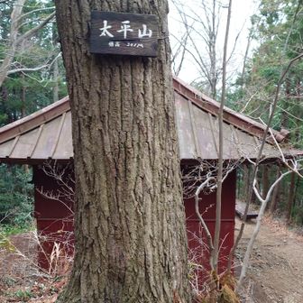 太平山①